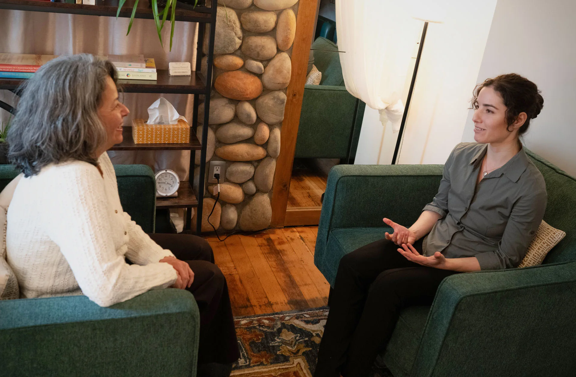 Vanessa in conversation with a client in her Nelson office, both in green armchairs, a bookshelf and river-stone wall behind them.