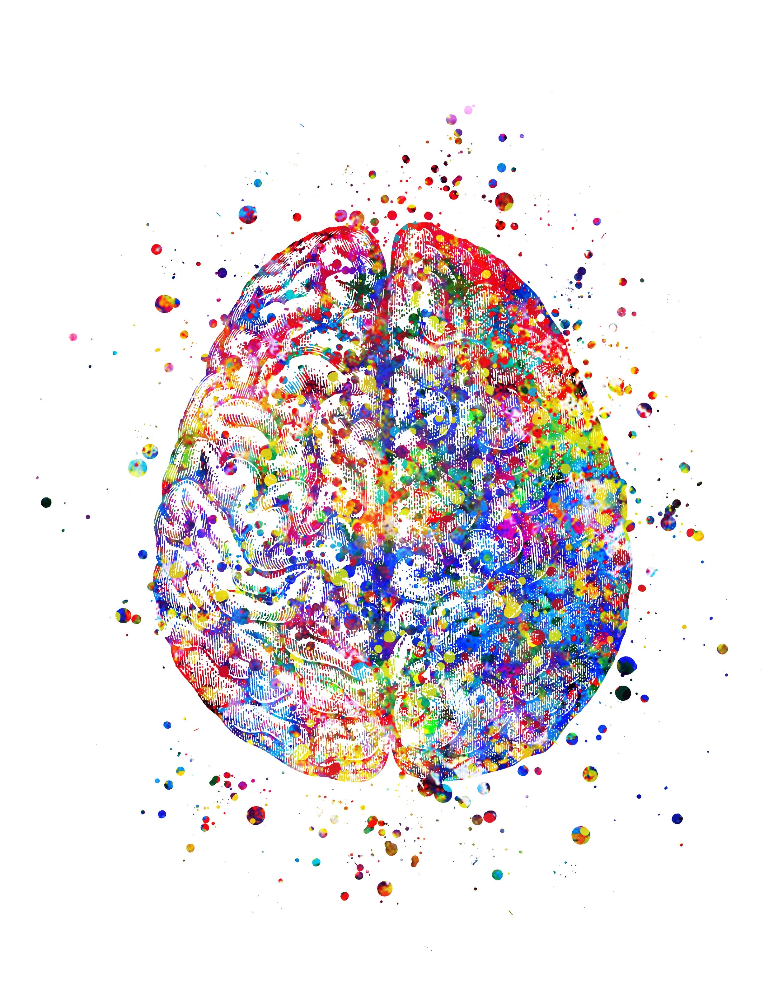 Watercolour illustration of the brain seen from above, in splashed rainbow colours.