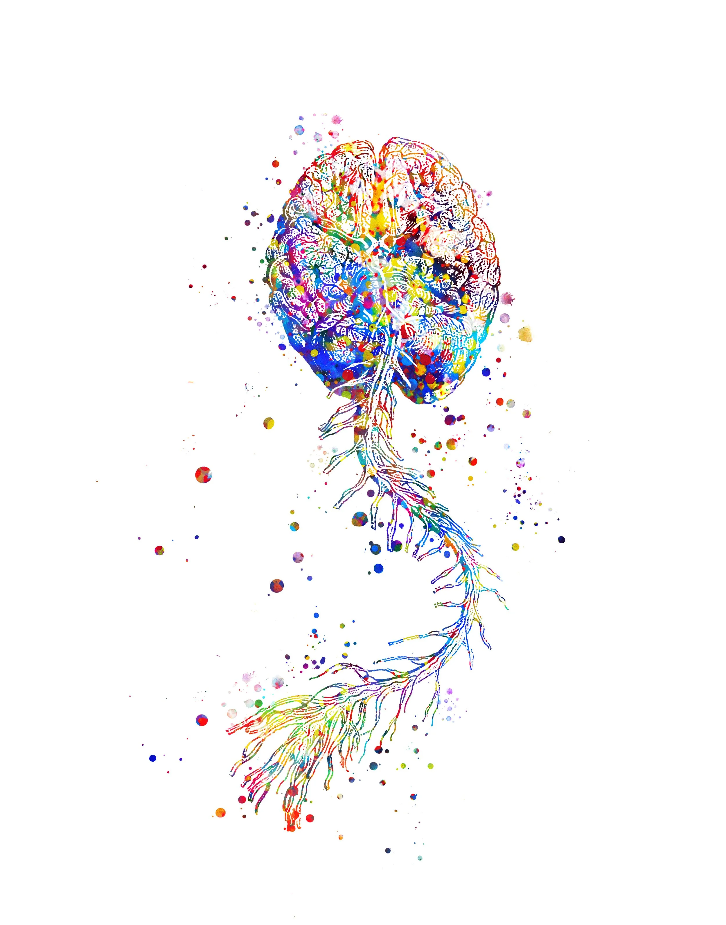 Watercolour illustration of the brain and spinal cord seen from above, in bright splashed colours.