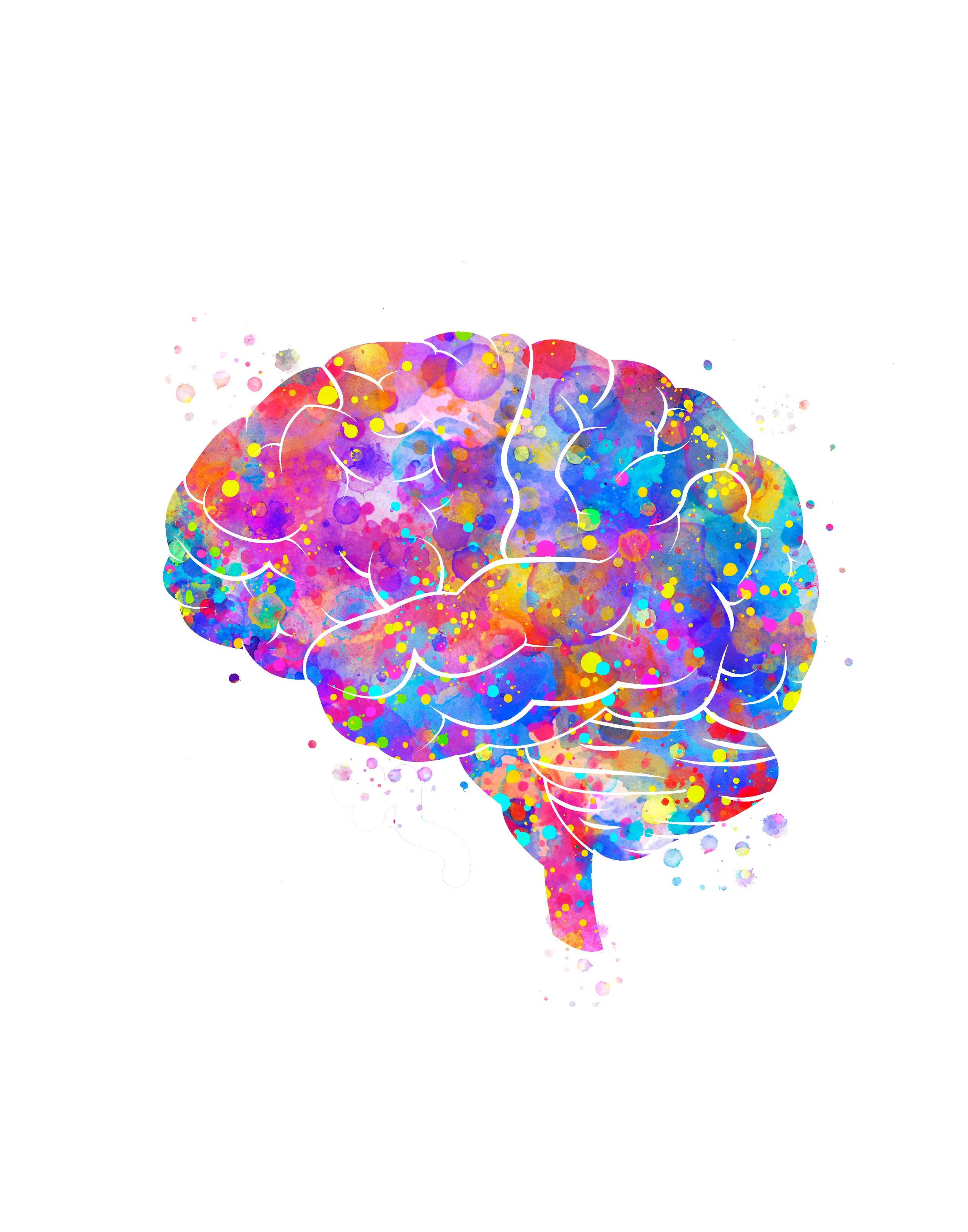 Watercolour illustration of the brain seen from the side.