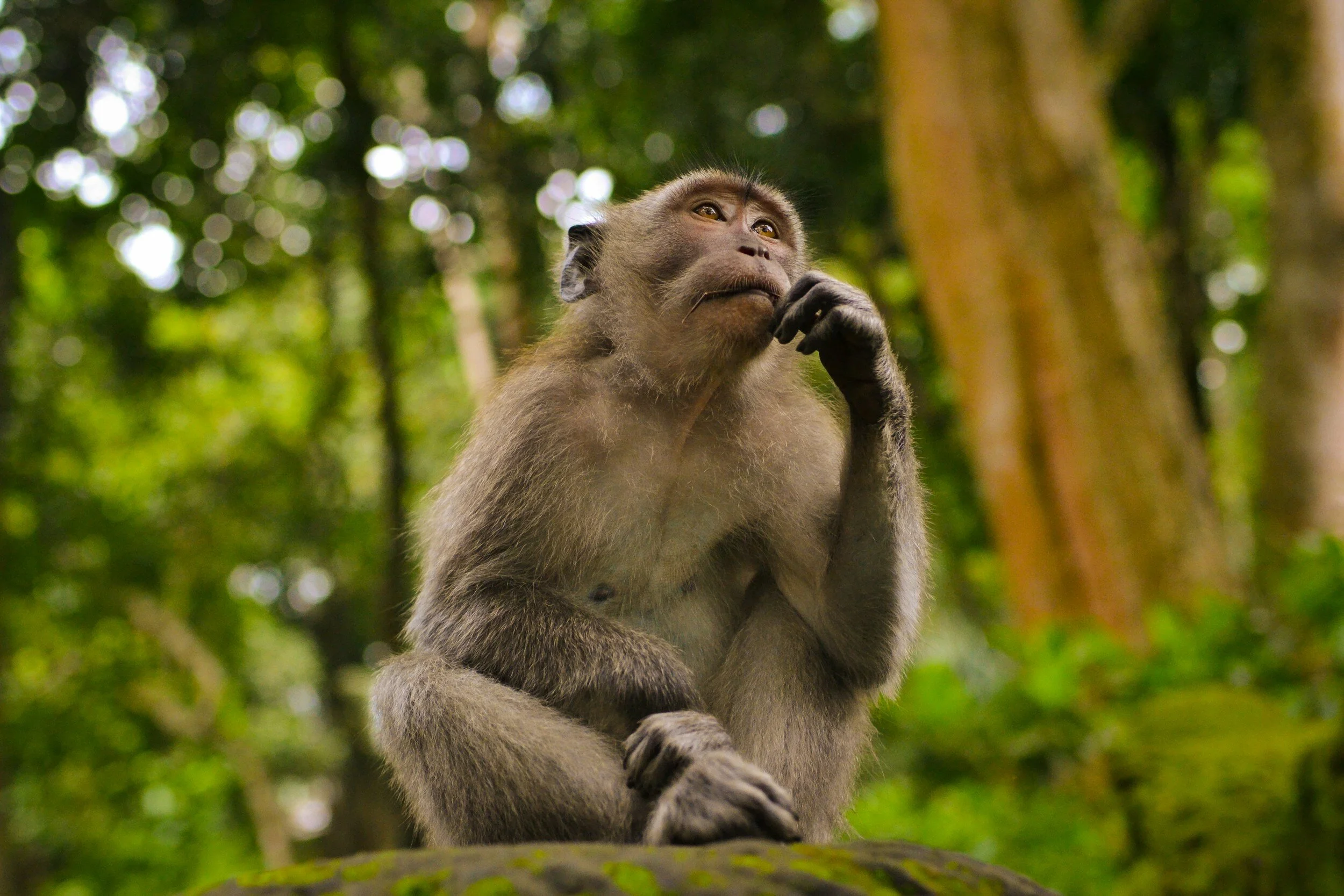 How can we reconcile the power of thinking, a basic part of our nature, with its pitfalls?