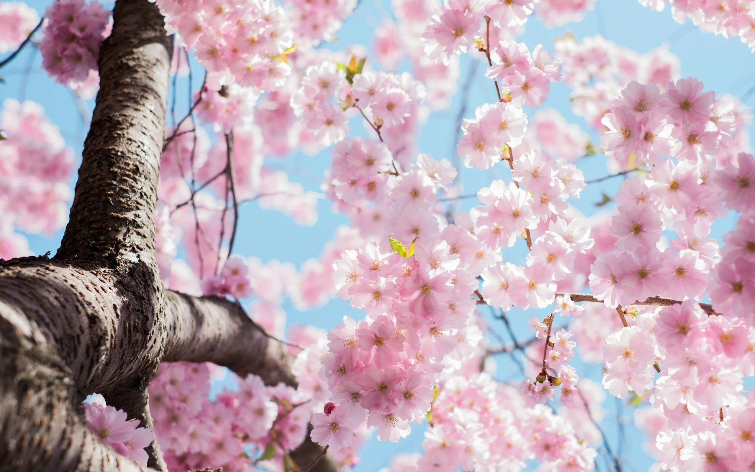 Nature time is an incredible resource for improving mood and regulating the nervous system.