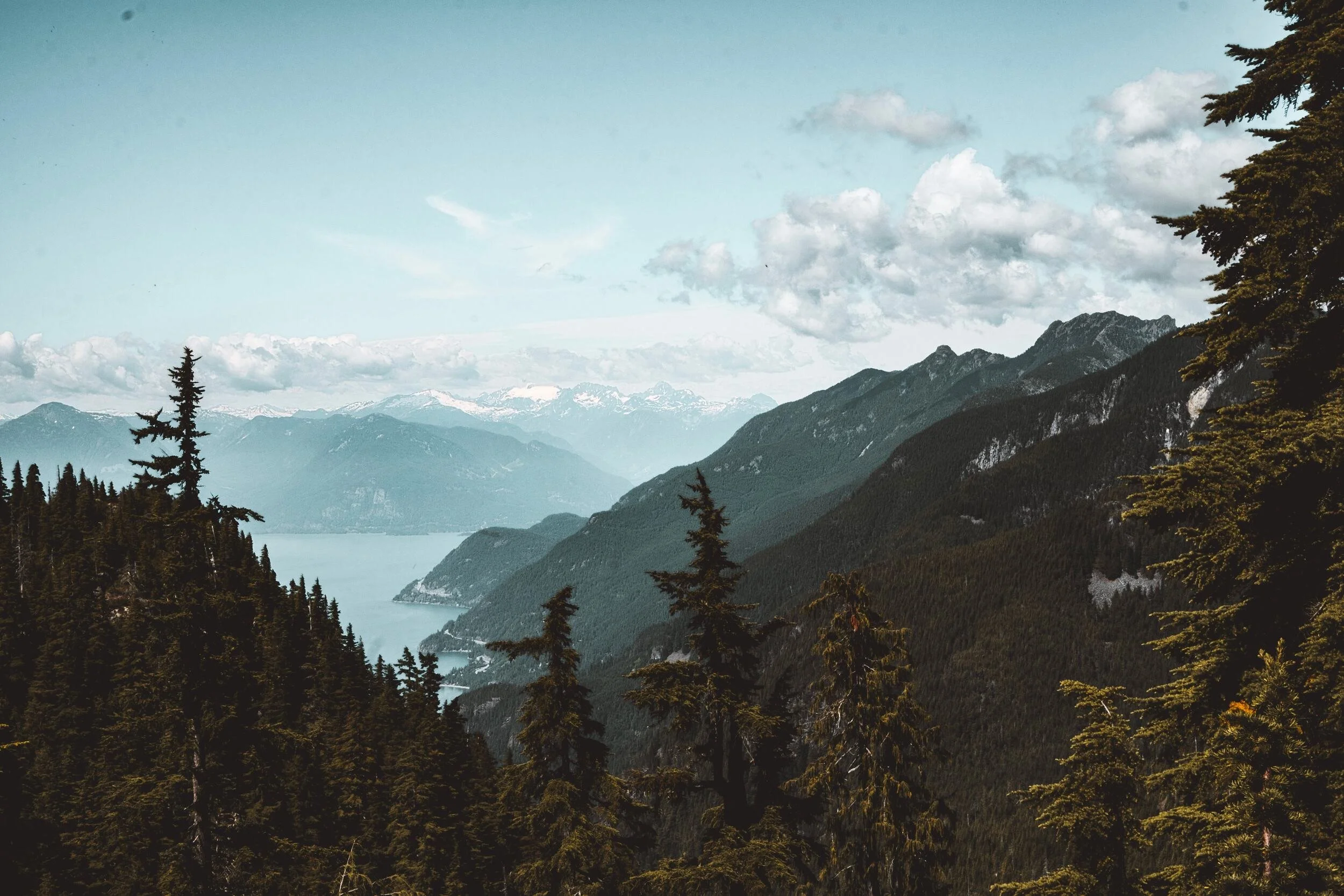 A forested mountainside looking down over a long blue lake, with snow-capped peaks and clouds in the distance.