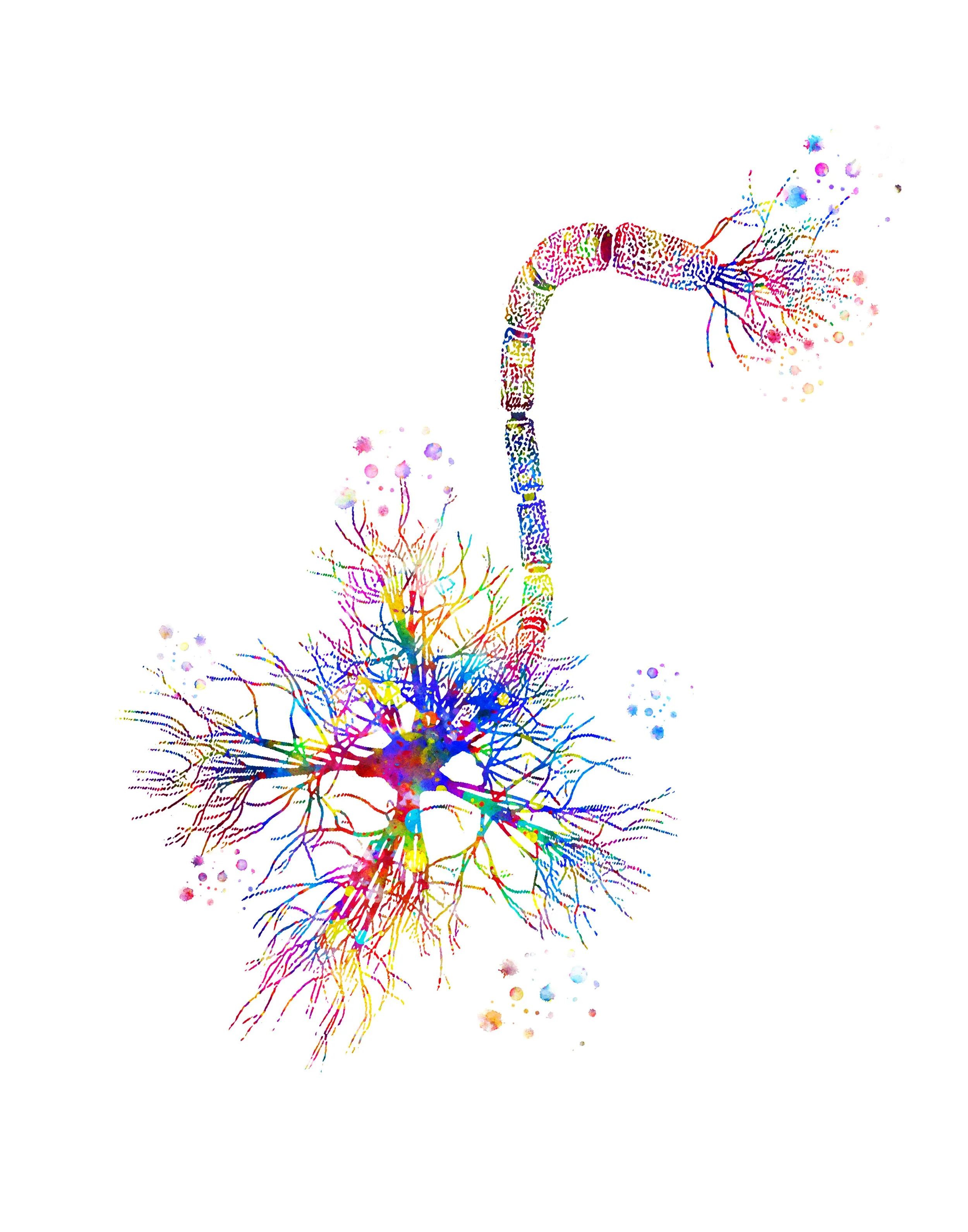 Watercolour illustration of a neuron with a long, segmented axon ending in branching terminals.