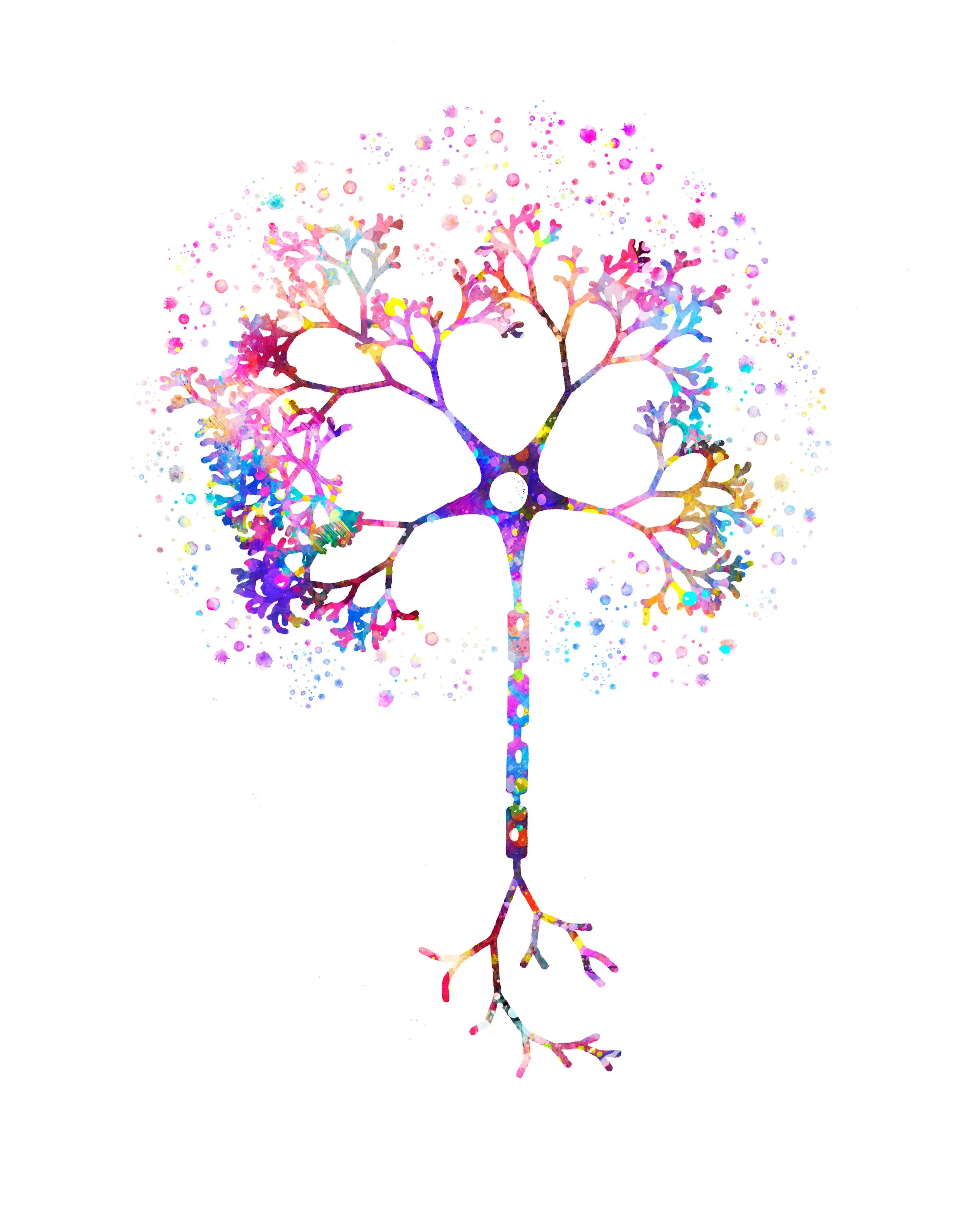 Watercolour illustration of a single neuron: cell body, branching dendrites and a long axon.
