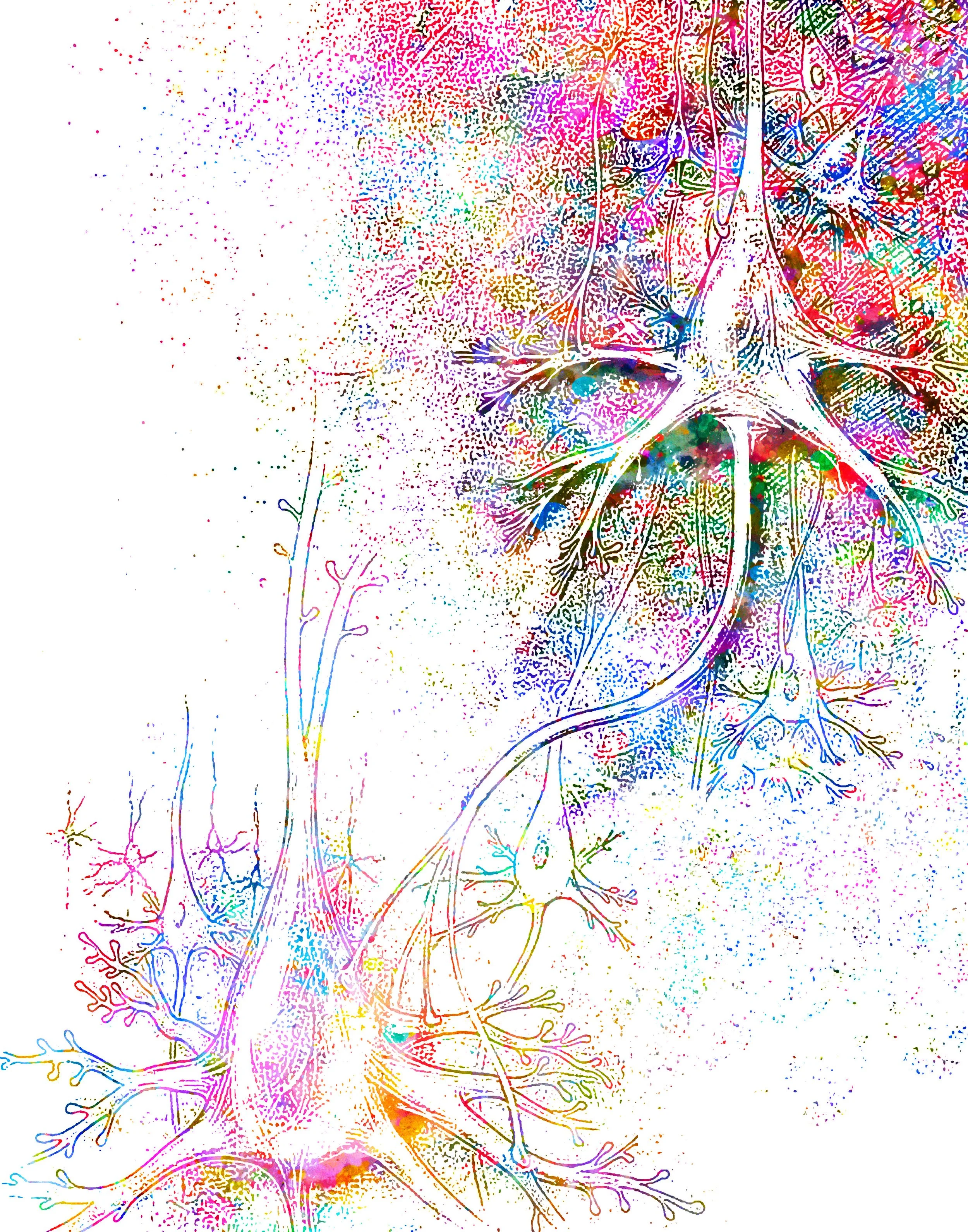 Watercolour illustration of nerve cells and their branching connections.