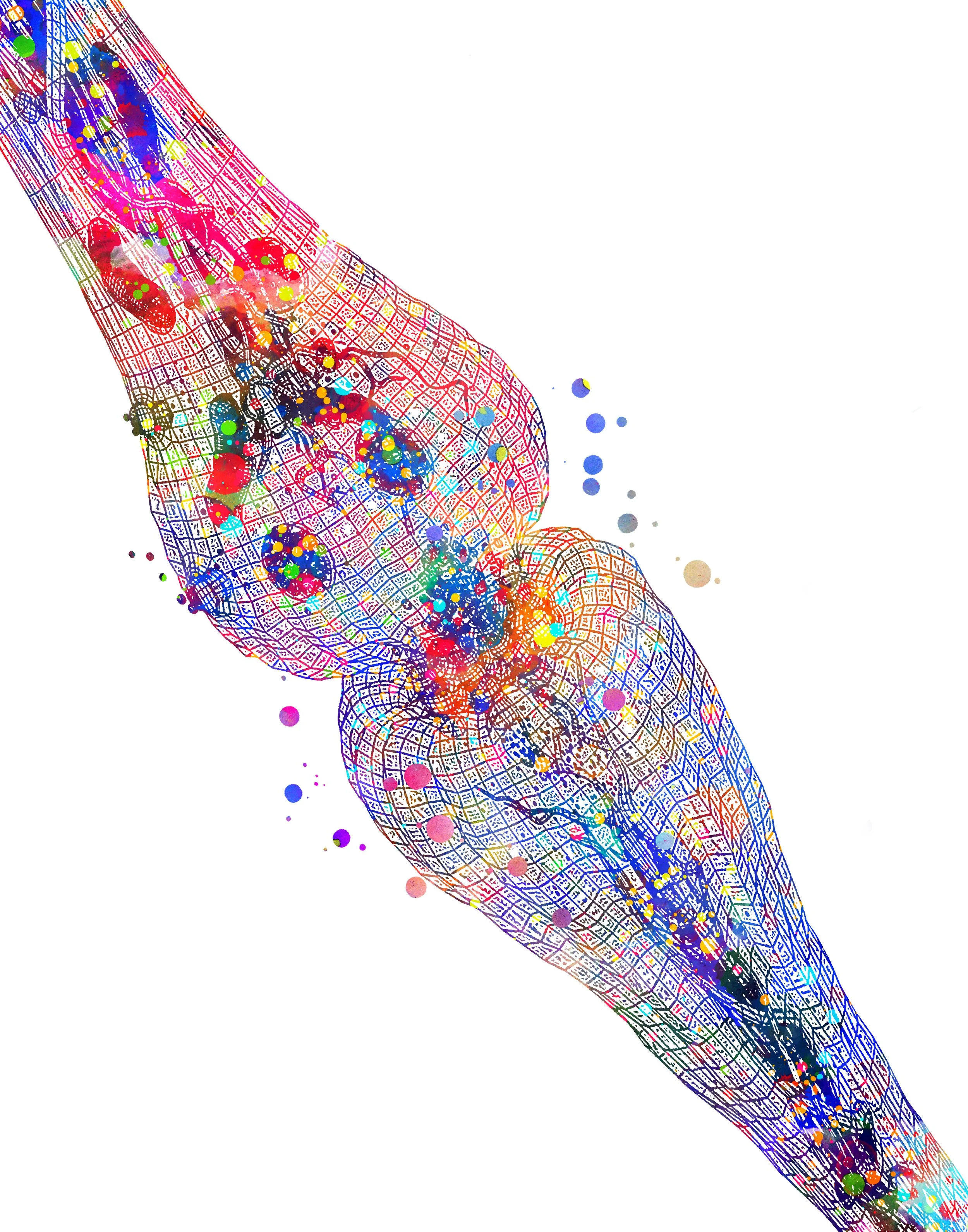 Watercolour illustration of a synapse, where two nerve cells meet.